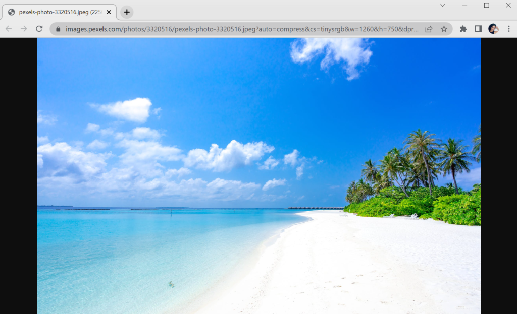 image of google chrome showing picture of seaside