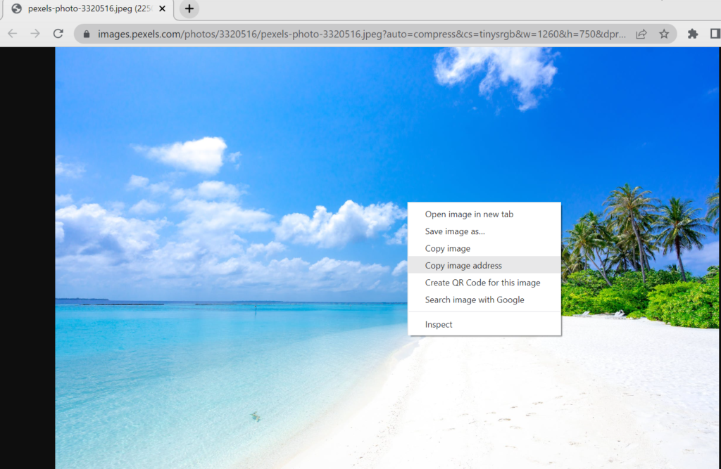 image of how to copy image URL in chrome