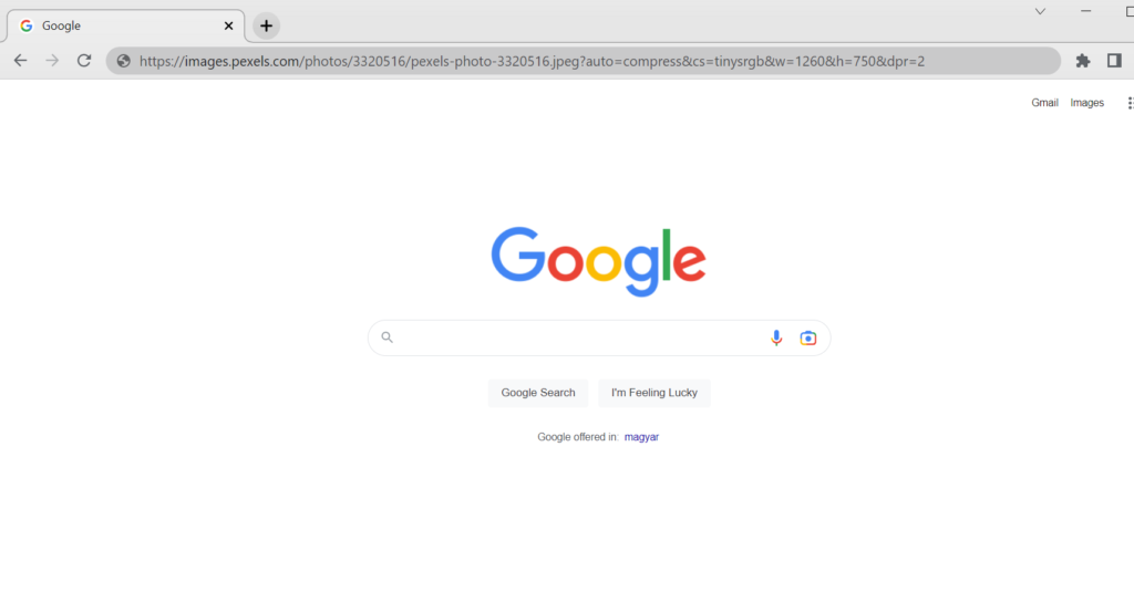 image of google search engine home page
