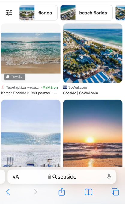 image of google images result on mobile device