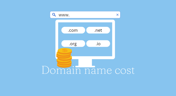 Domain name costs