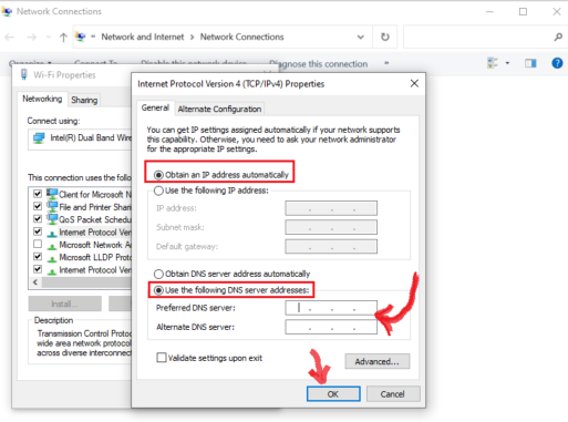 set default gateway and alternate dns server