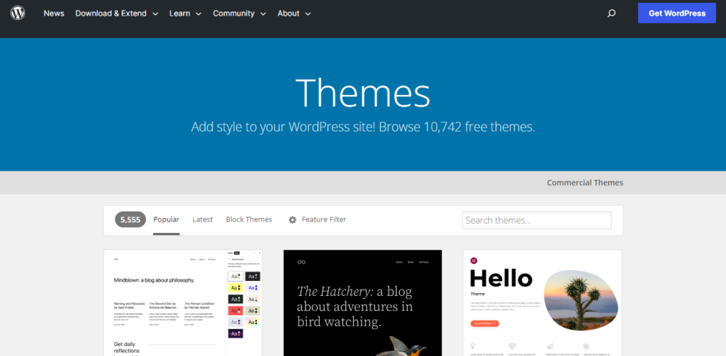 WordPress professional website themes