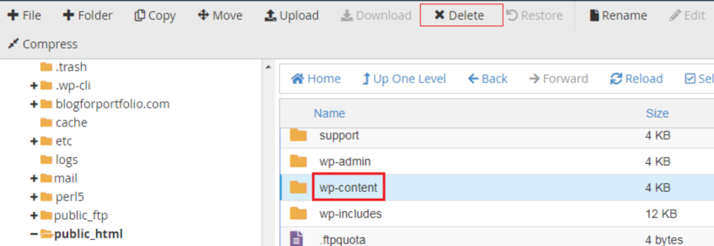 Find public html and wp-content file