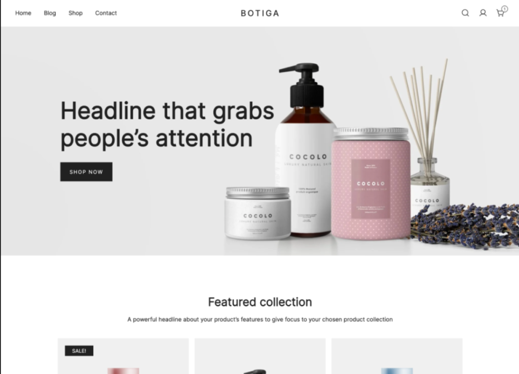 Use Botiga for your online business